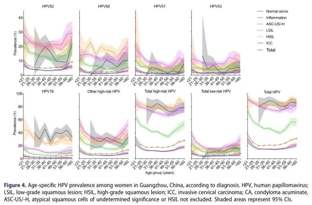 IF=19!凯普金奖产品HPV 21分型在人乳头瘤病毒流行病学领域应用重磅论文发表