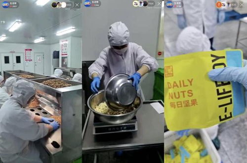 快手电商合作食品厂直播 质检 ,老铁 云监工 坚果生产全过程