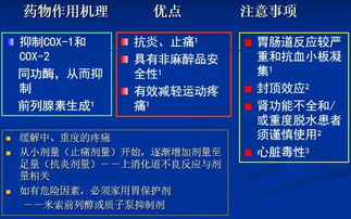全面讲解 膝关节骨性关节炎的阶梯治疗及药物选择