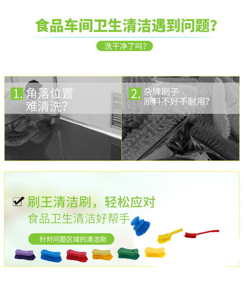 【清洁毛刷2111食品厂清洗刷】- 