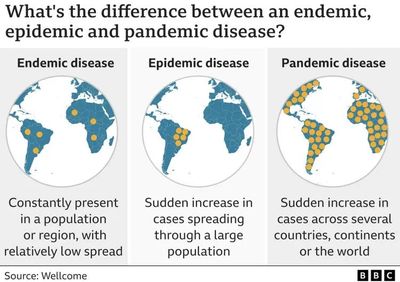 知名流行病学家张作风:对目前新冠流行的思考和建议