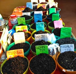 饮用过热饮品与食道癌风险加倍 流行病学的警示