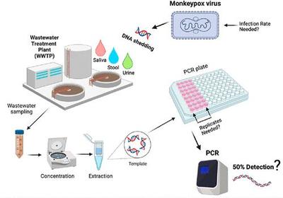 基于模型的废水流行病学监测猴痘可行性理论评价